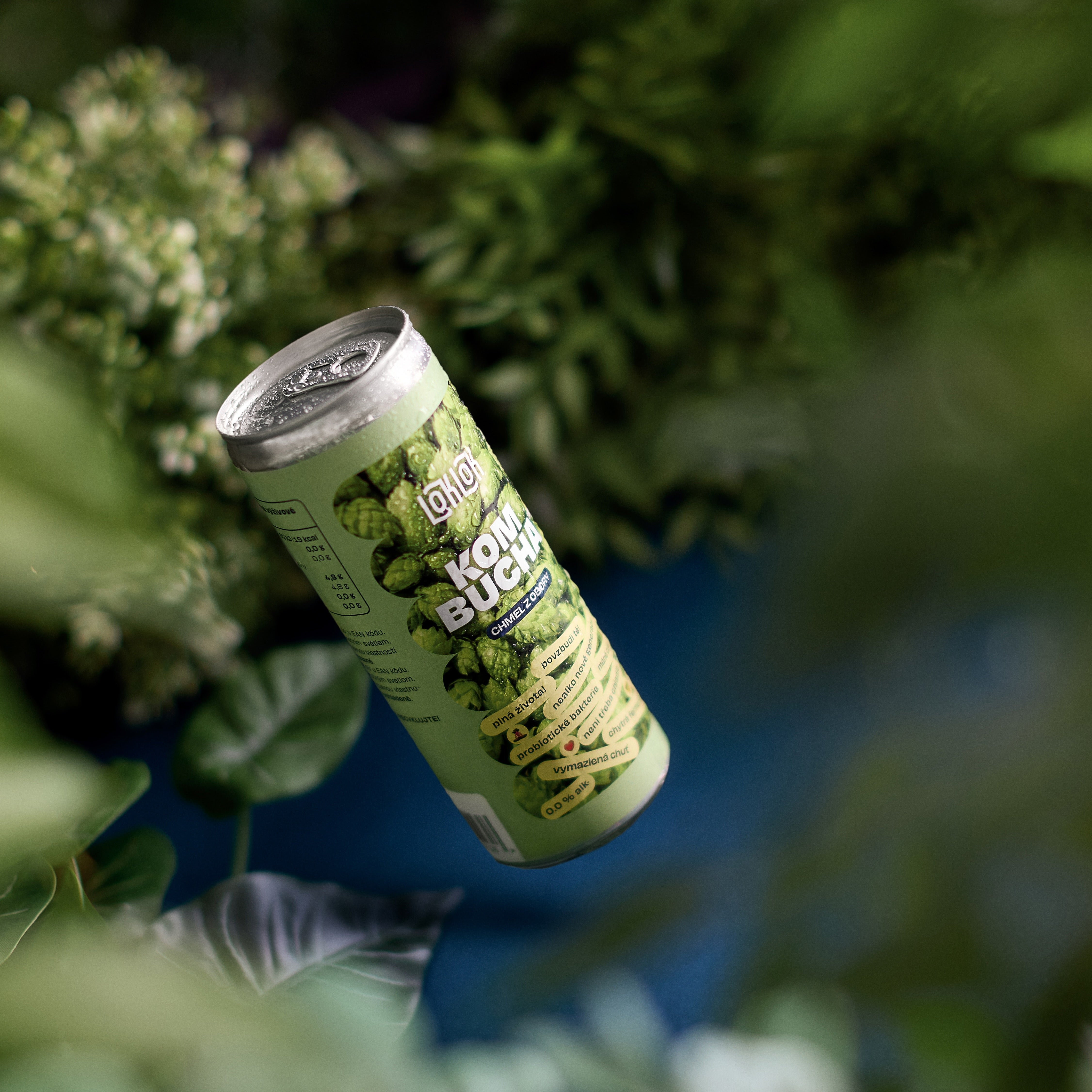 Kombucha Loklok Chmel nealko