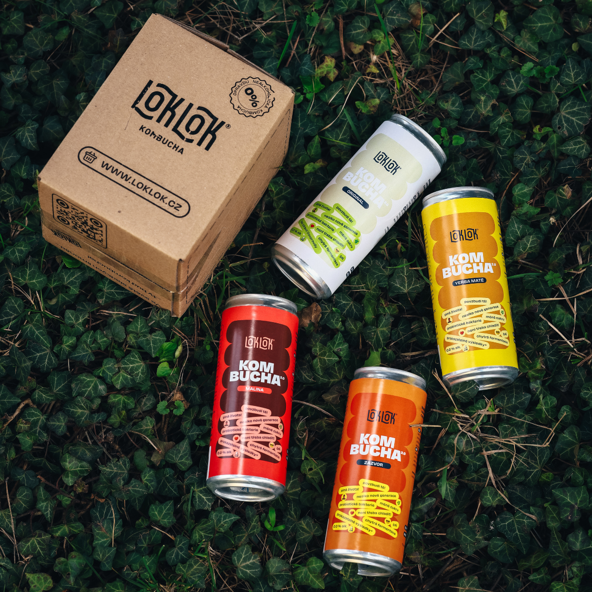 Loklok ochutnávkový 4-pack 4 x 330ml