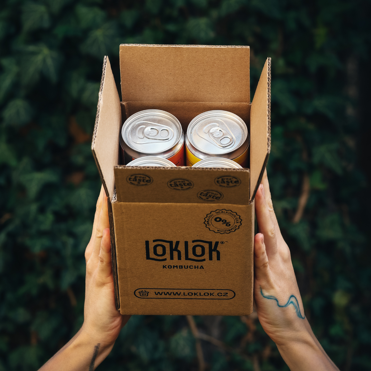 Loklok ochutnávkový 4-pack 4 x 330ml