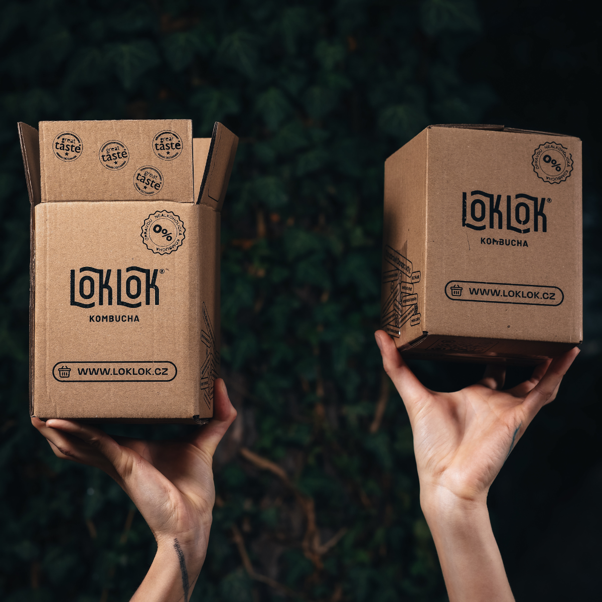 Loklok ochutnávkový 4-pack 4 x 330ml