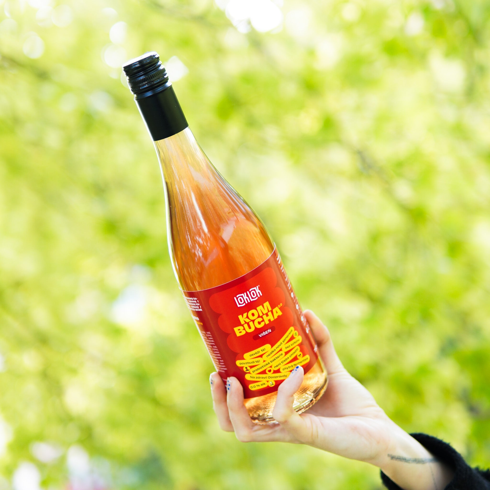 6x Loklok kombucha Višeň 750ml