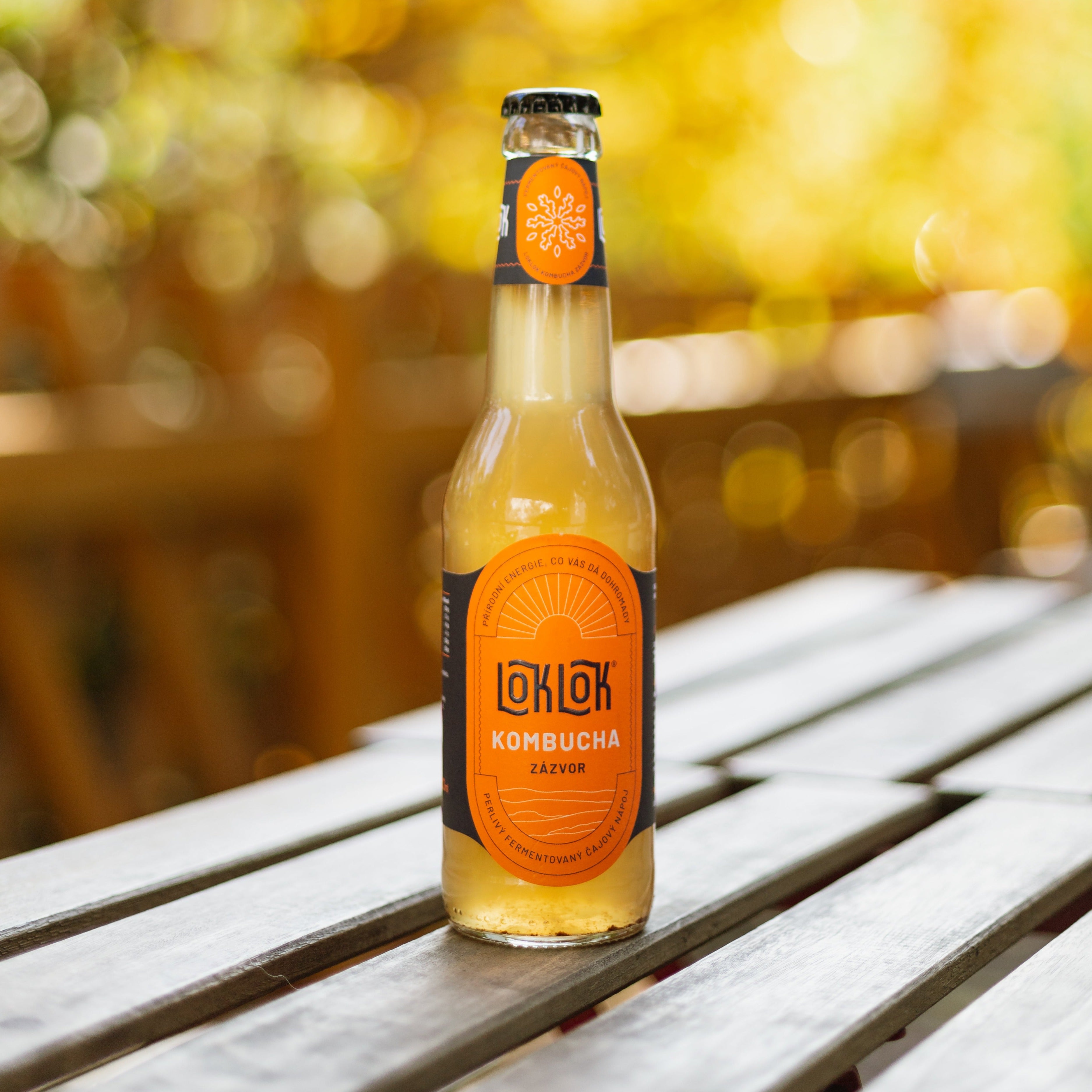 12x Loklok kombucha Zázvor 330ml