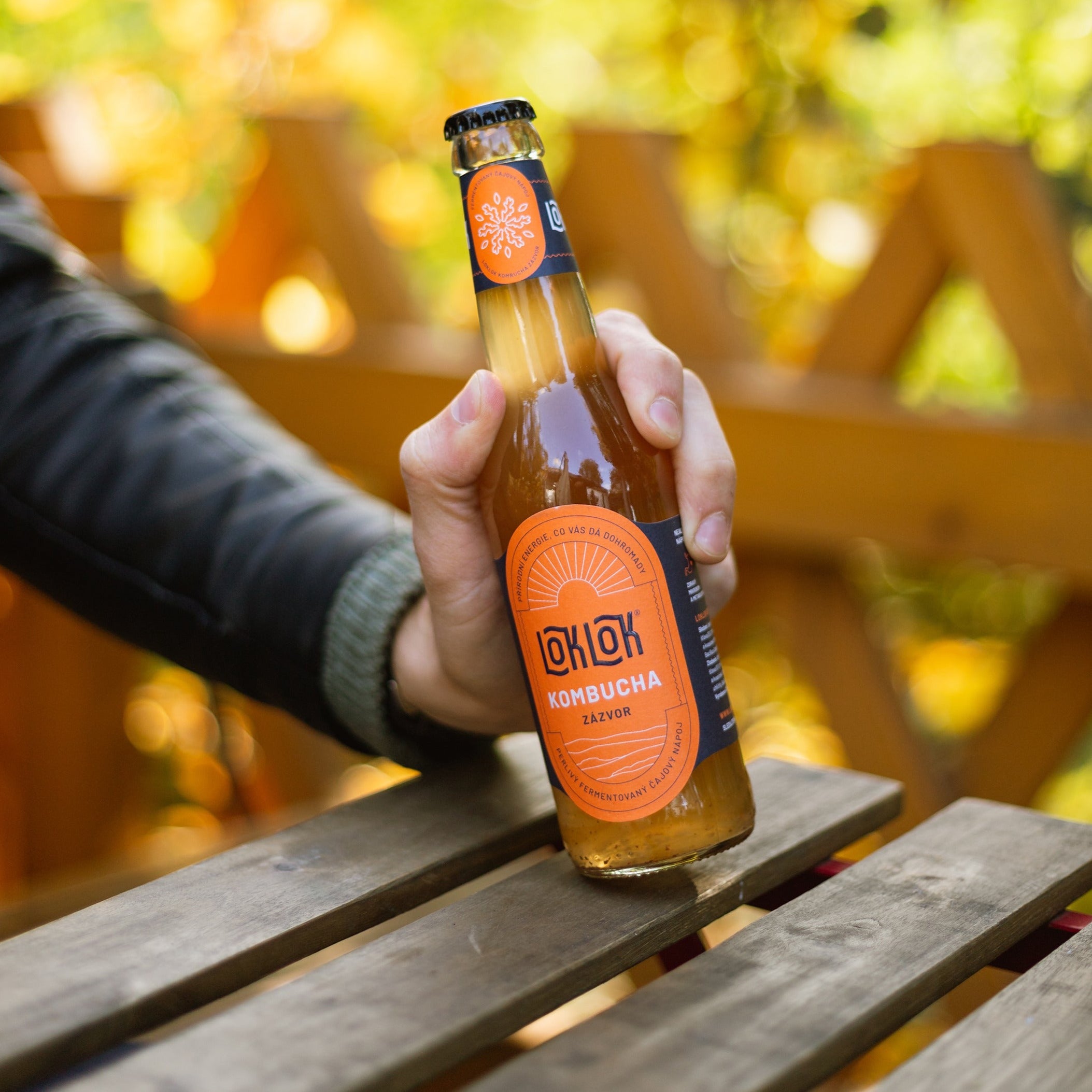 12x Loklok kombucha Zázvor 330ml