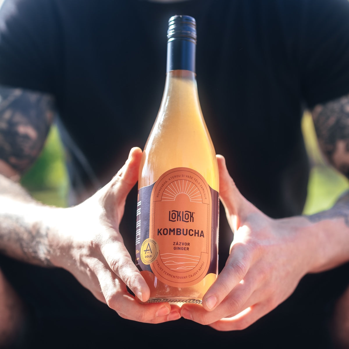 6x Loklok kombucha Zázvor 750ml