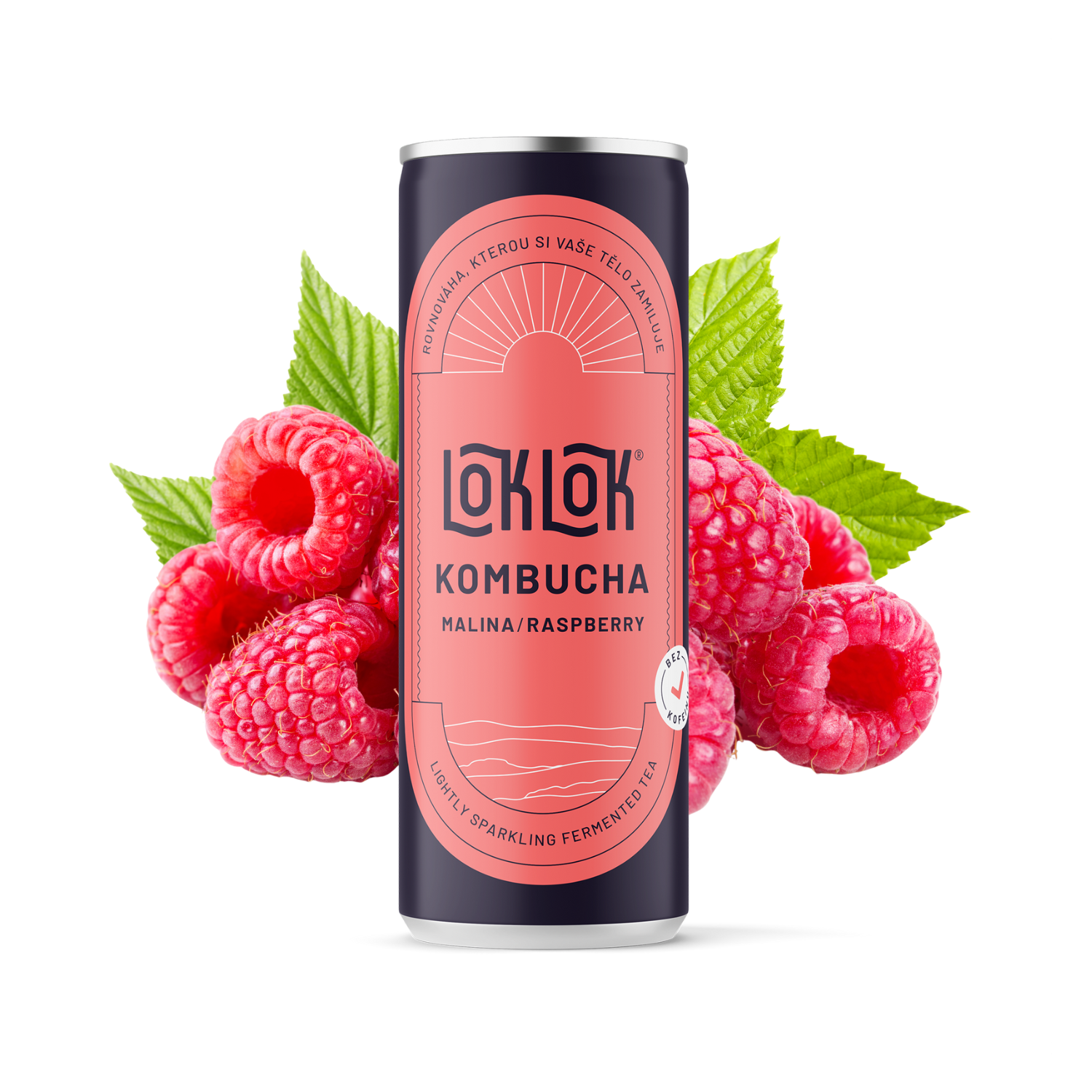 12x Loklok kombucha Malina 330ml