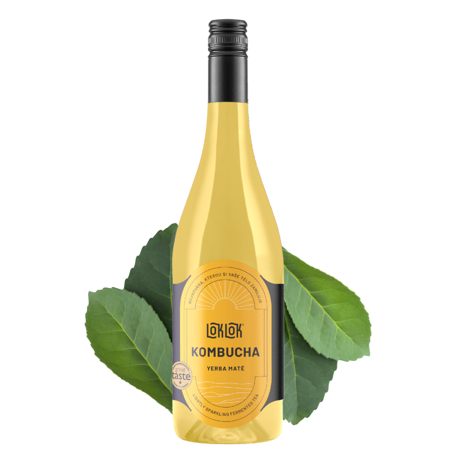 6x Loklok kombucha Yerba Maté 750ml