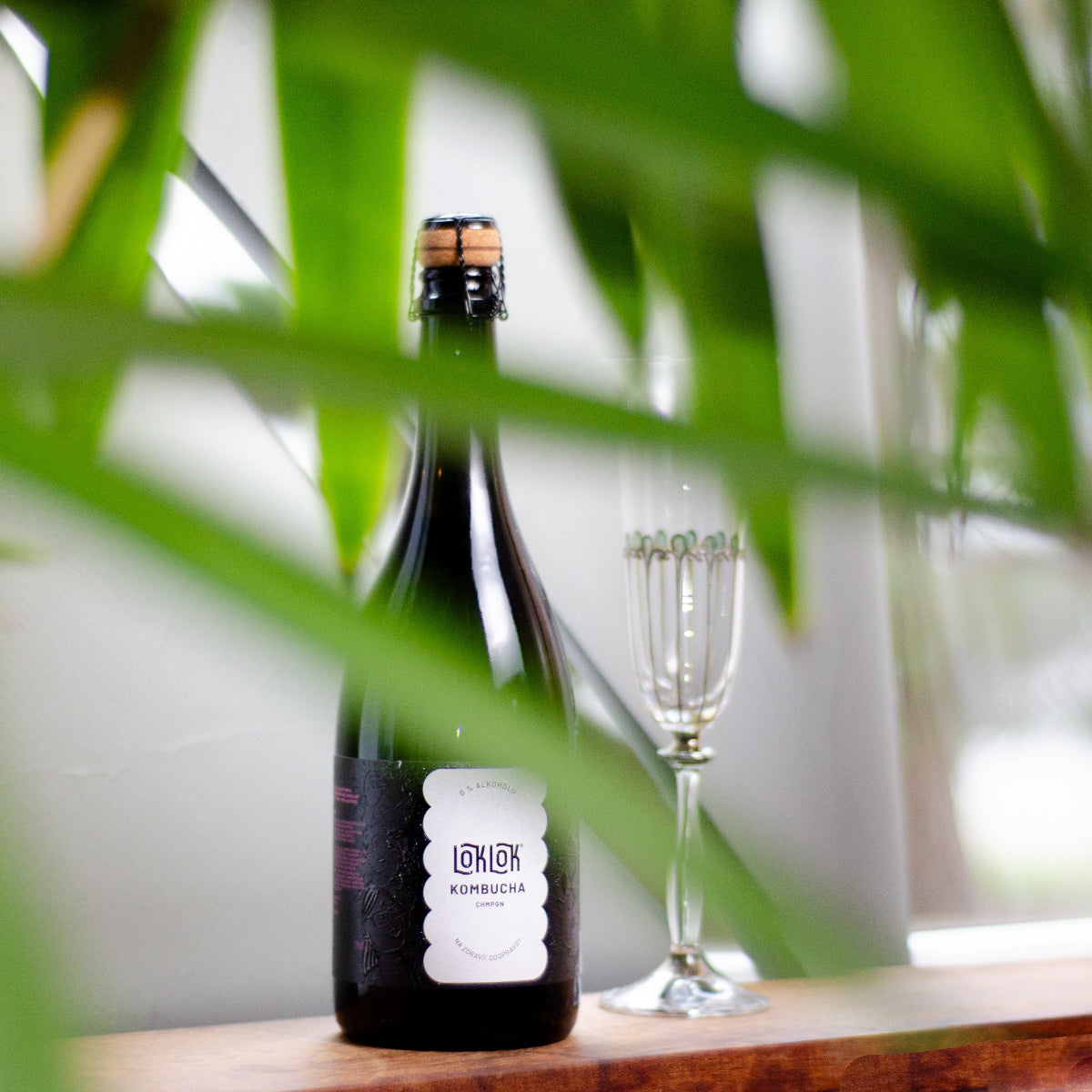 Loklok kombucha sampanske nealko
