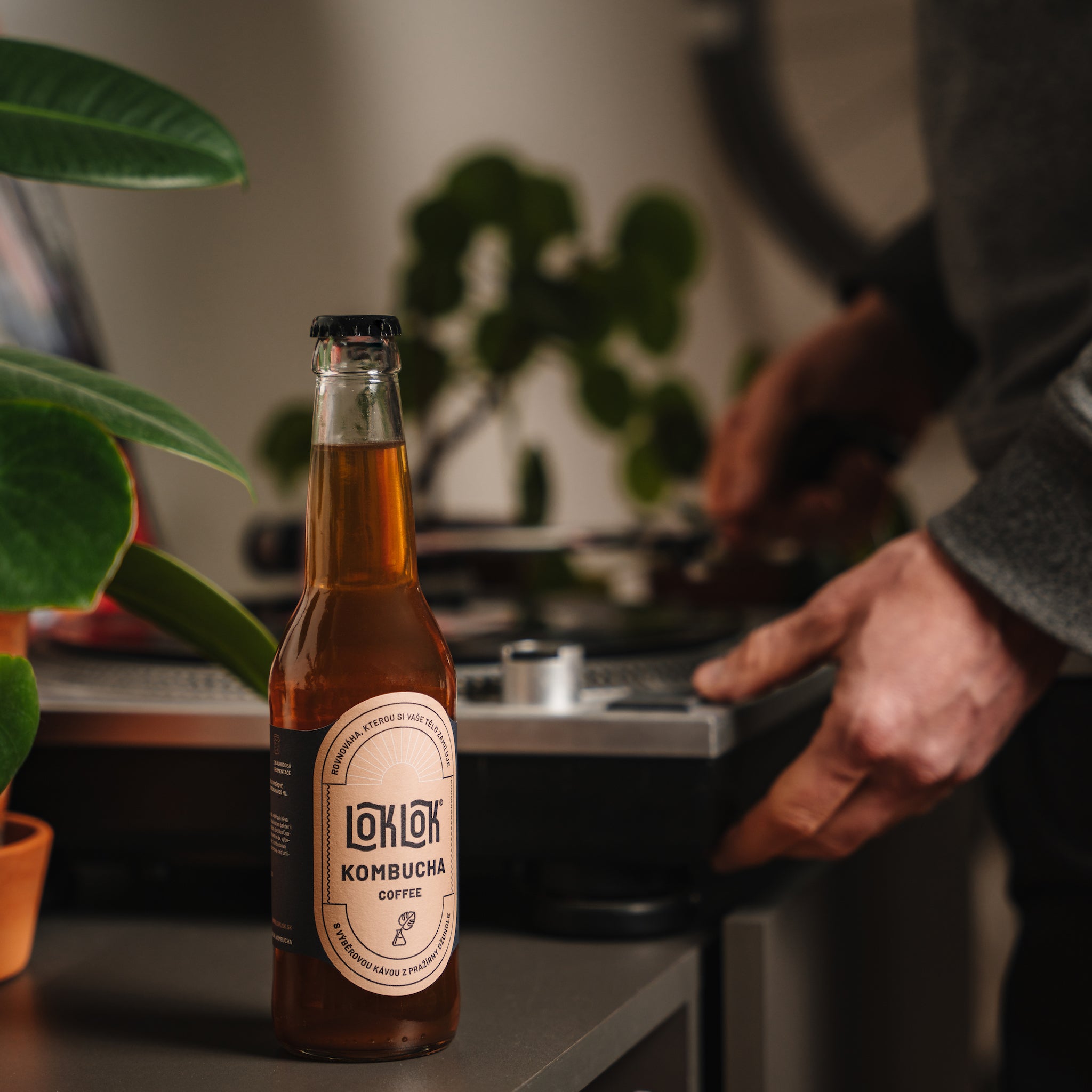 12x Loklok kombucha Káva 330ml