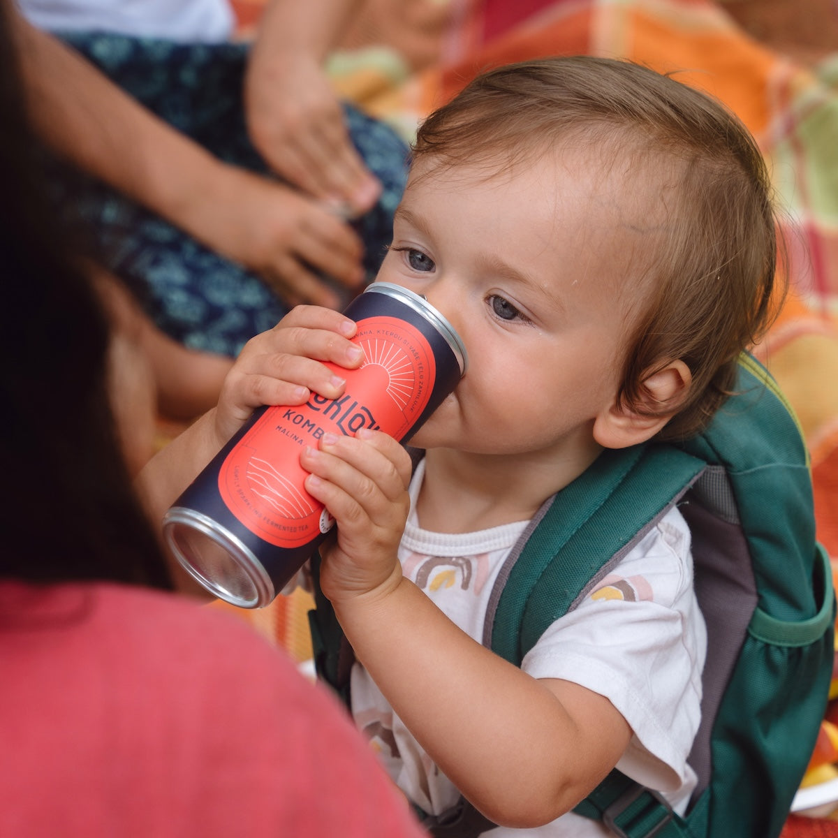 12x Loklok kombucha Malina 330ml