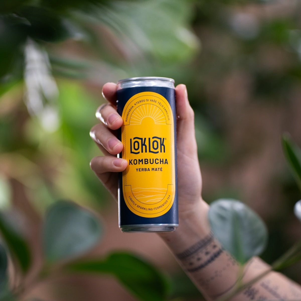 12x Loklok kombucha Yerba Maté 330ml