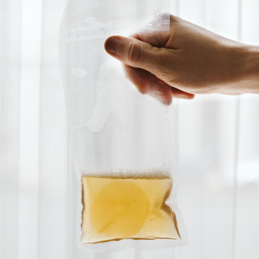 kombucha-kultura