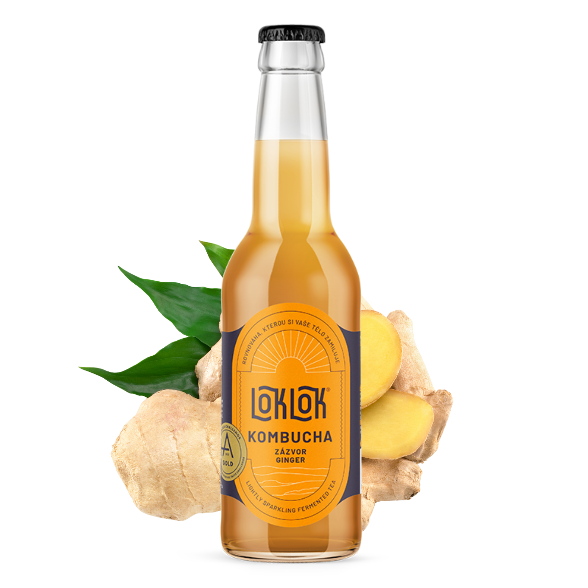 12x Loklok kombucha Zázvor 330ml