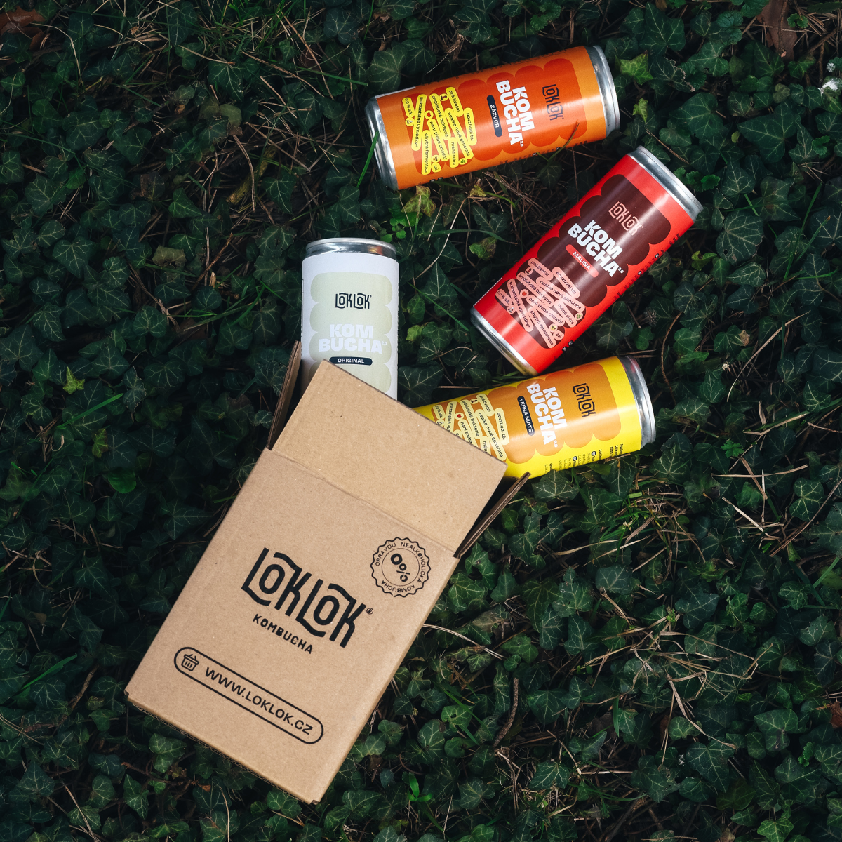 Loklok ochutnávkový 4-pack 4 x 330ml