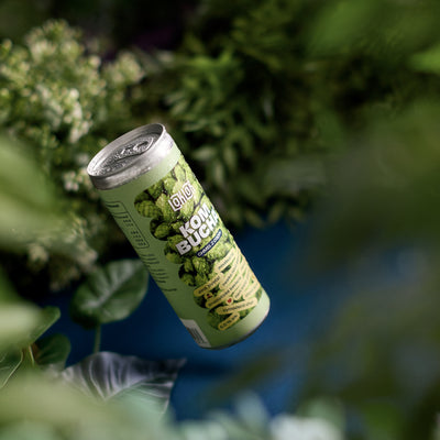 Kombucha Loklok Chmel nealko