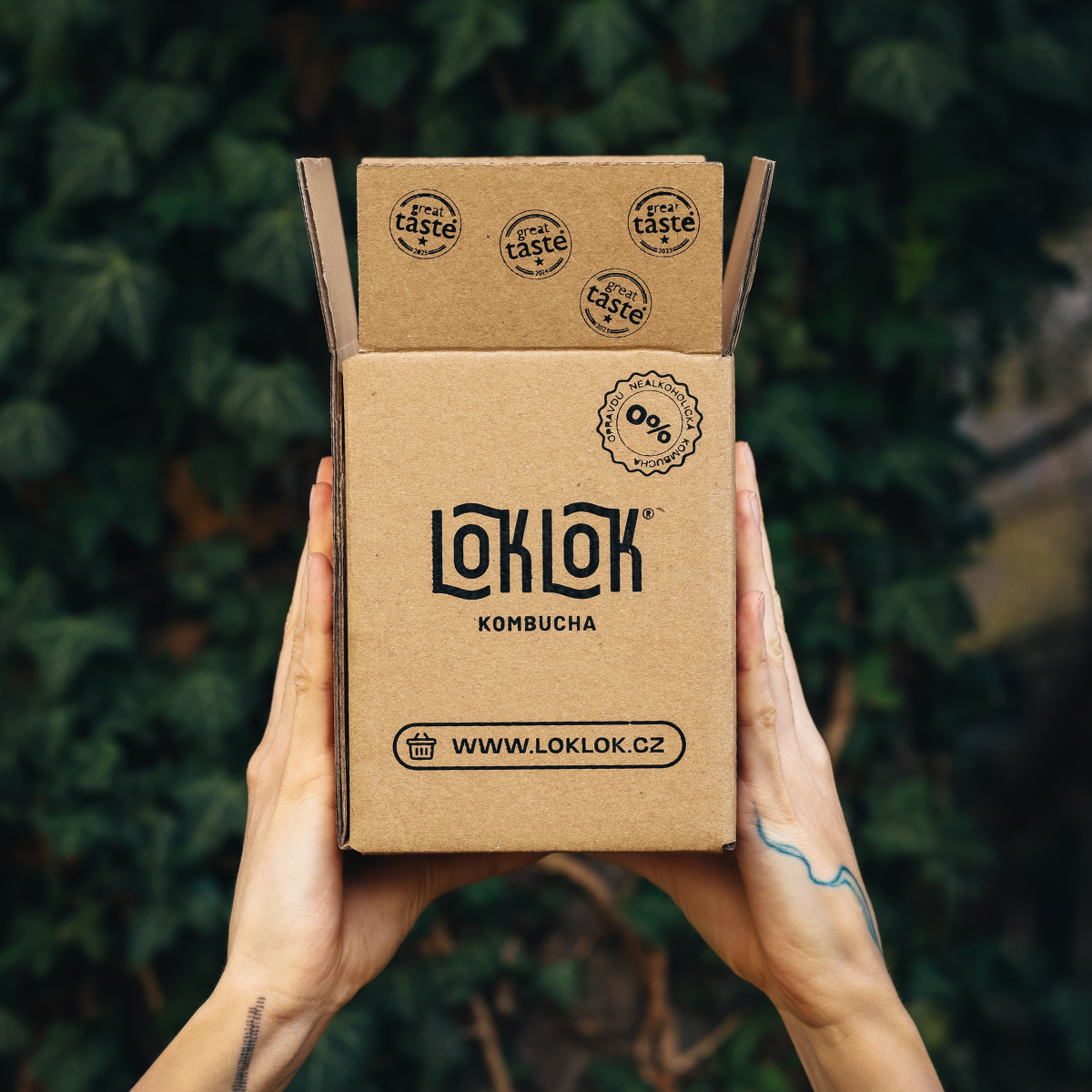 Loklok ochutnávkový 4-pack 4 x 330ml