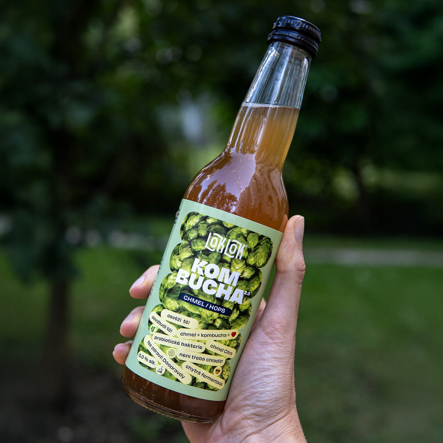 12x Loklok kombucha Chmel 330ml lahev