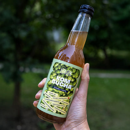 12x Loklok kombucha Chmel 330ml lahev
