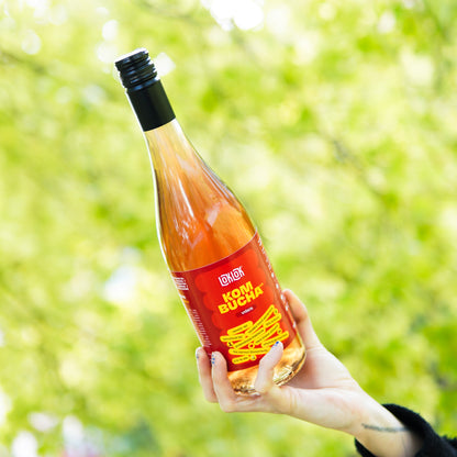 6x Loklok kombucha Višeň 750ml