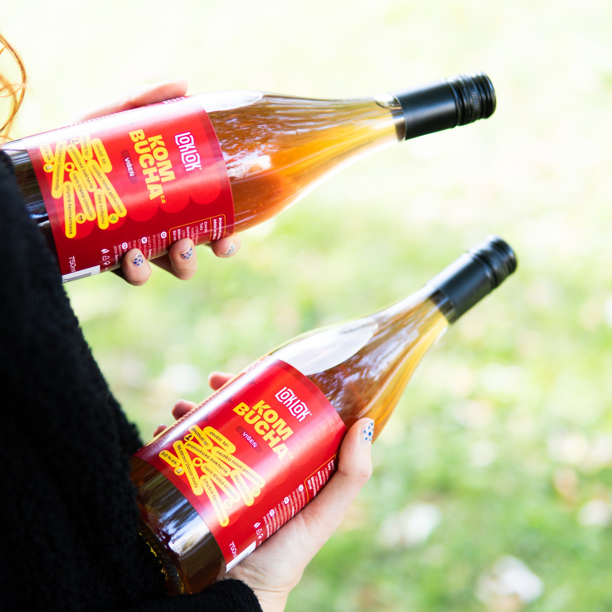 6x Loklok kombucha Višeň 750ml