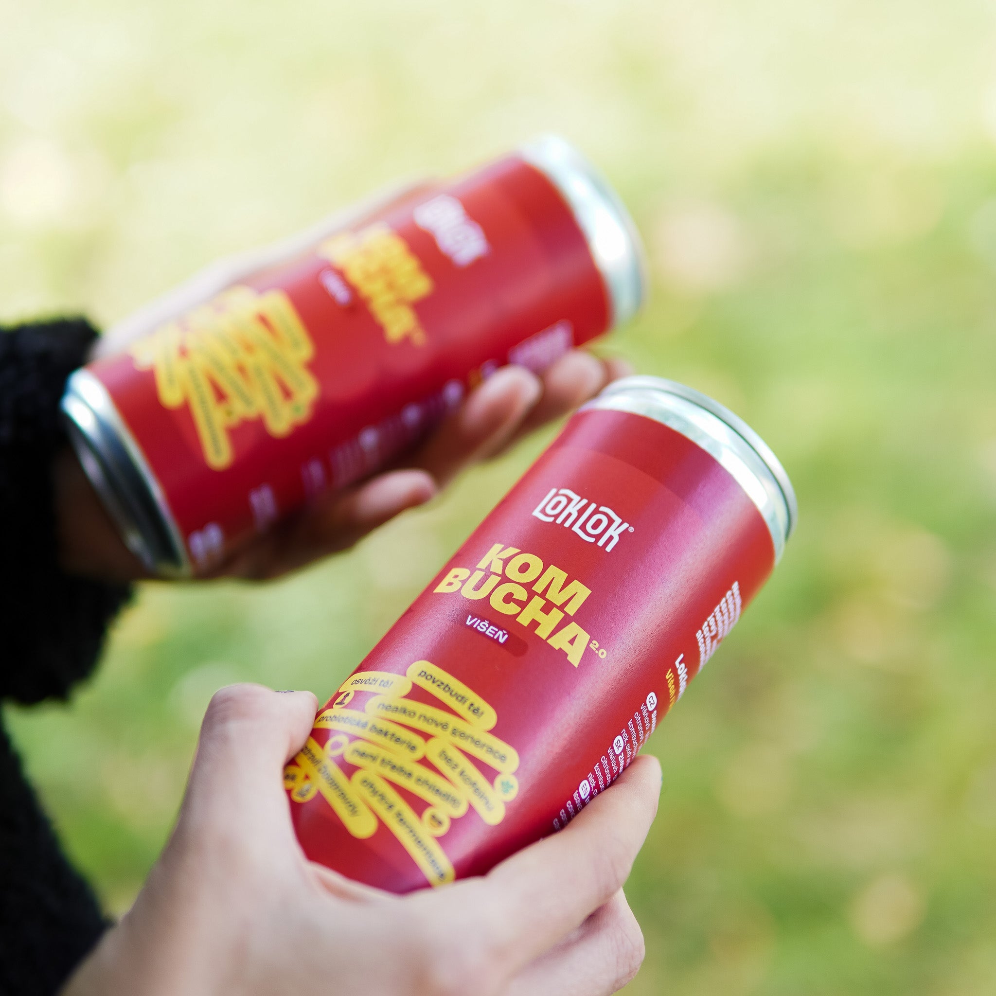 12x Loklok kombucha Višeň 330ml