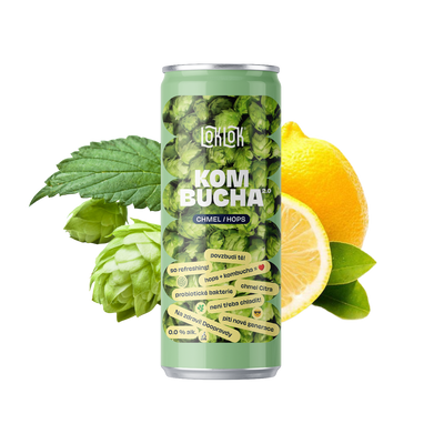 12x Loklok kombucha Citra 330ml