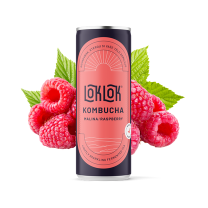 12x Loklok kombucha Malina 330ml
