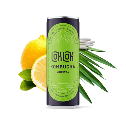 12x Loklok kombucha Originál 330ml