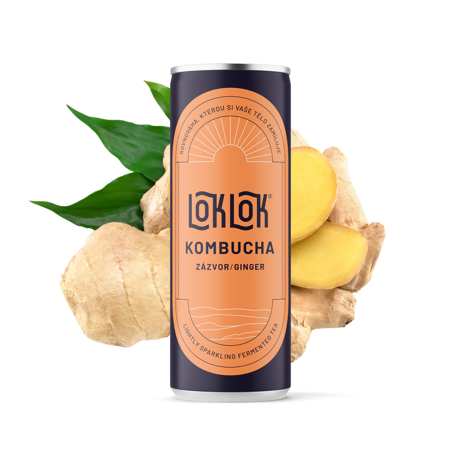 12x Loklok kombucha Zázvor 330ml