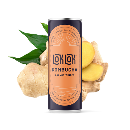 12x Loklok kombucha Zázvor 330ml