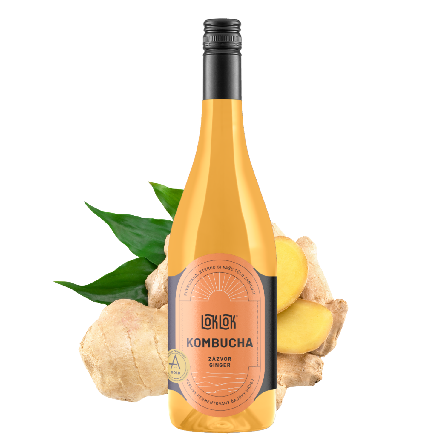 6x Loklok kombucha Zázvor 750ml