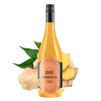 6x Loklok kombucha Zázvor 750ml