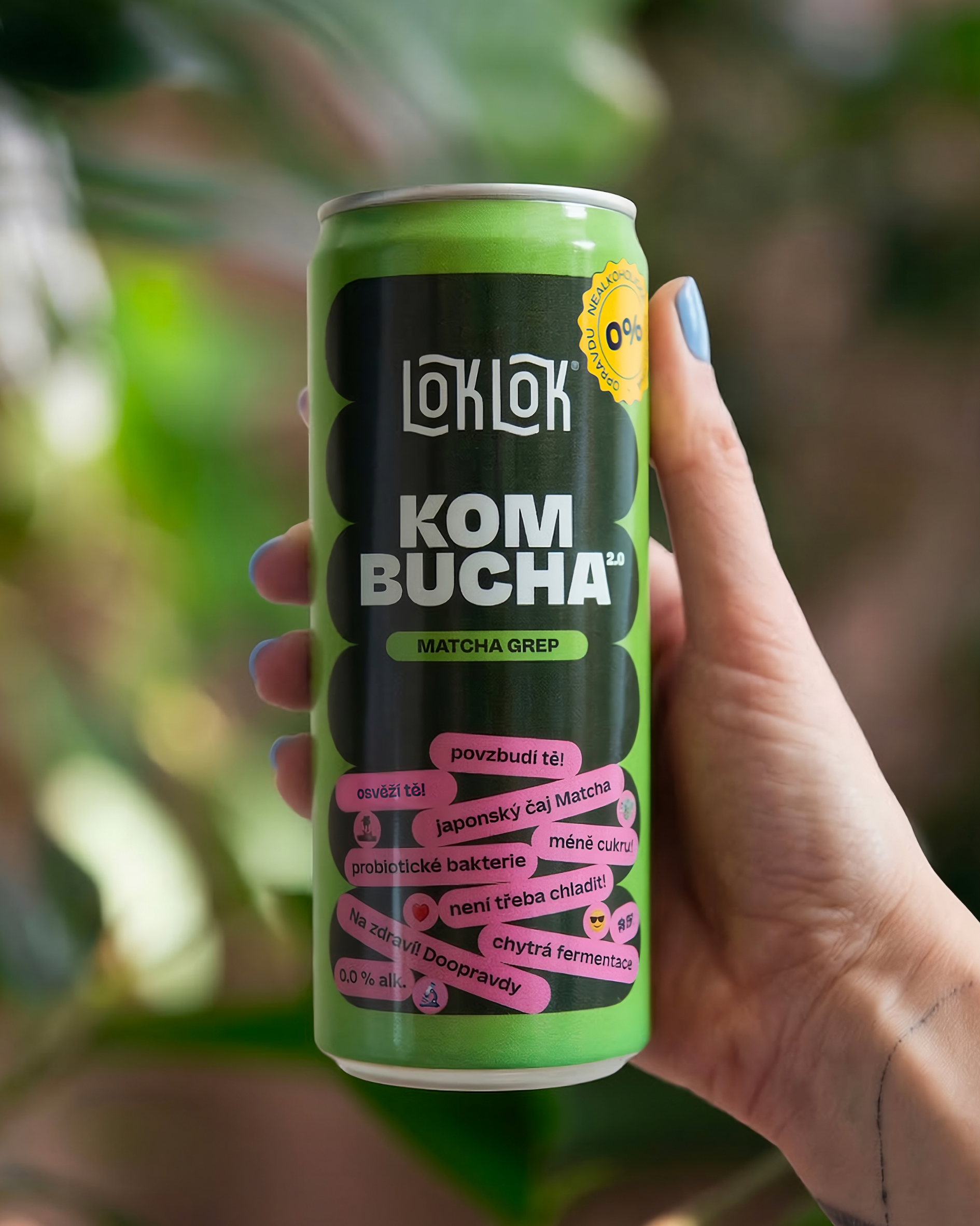 Loklok nealko kombucha matcha plechovka