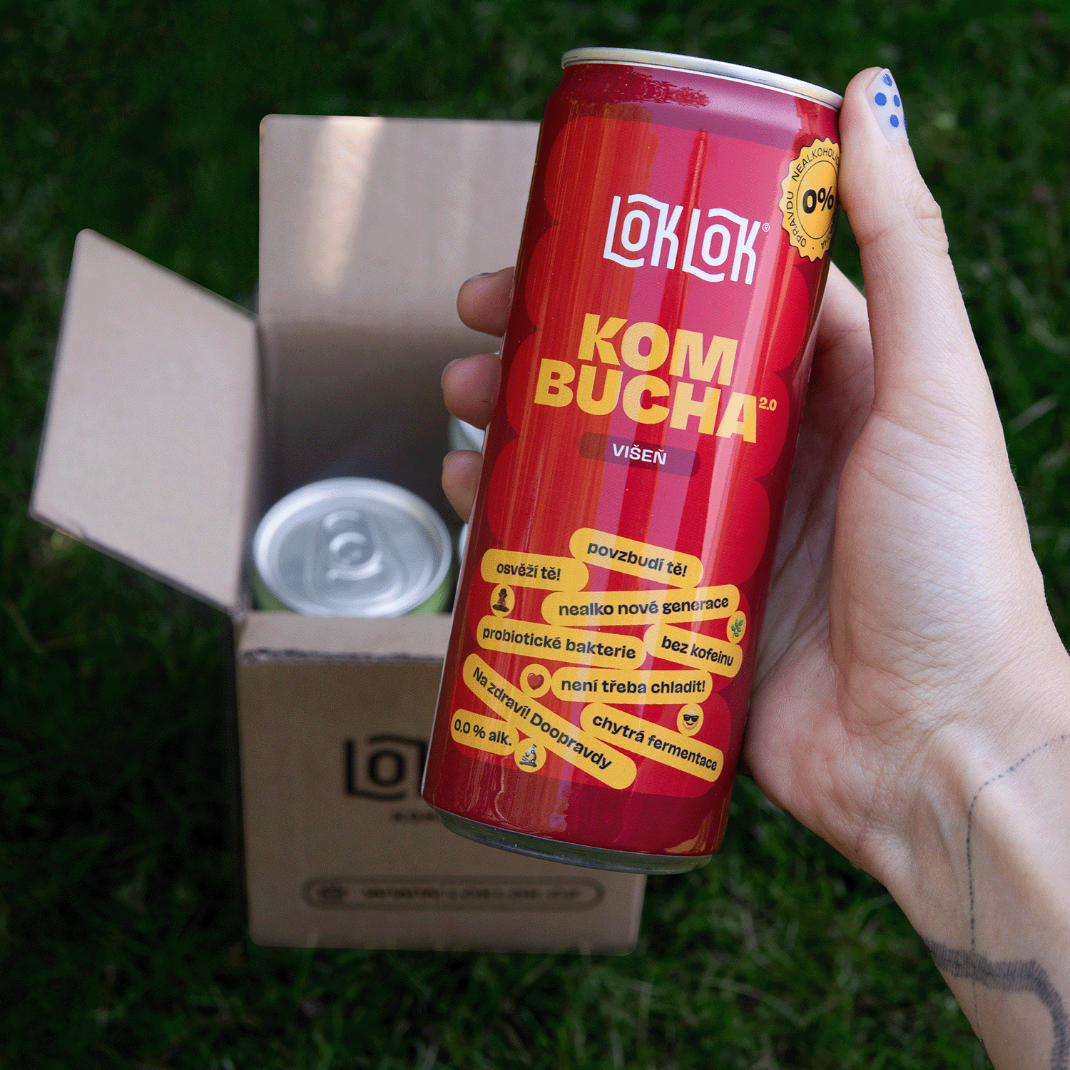 Loklok ochutnávkový 4-pack 4 x 330ml - LIMITKA