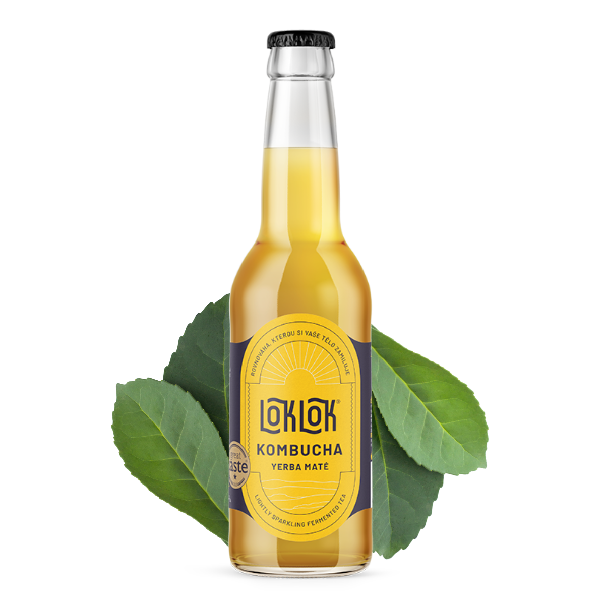 12x Loklok kombucha Yerba Maté 330ml