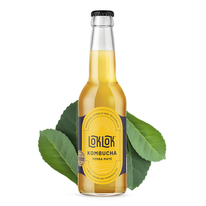 12x Loklok kombucha Yerba Maté 330ml